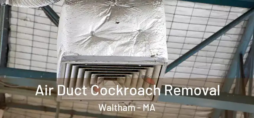 Air Duct Cockroach Removal Waltham - MA