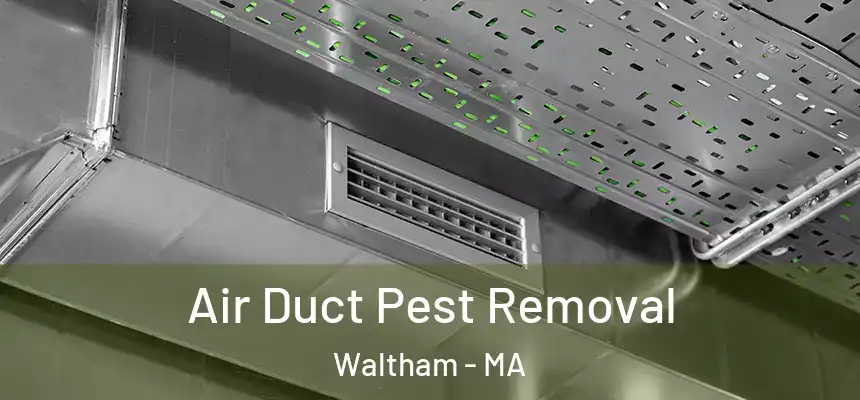  Air Duct Pest Removal Waltham - MA