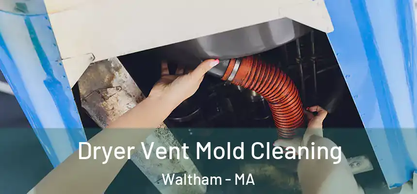 Dryer Vent Mold Cleaning Waltham - MA