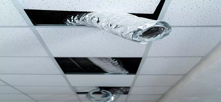 Our Air Duct Pet Hair Removal Services in Waltham, MA