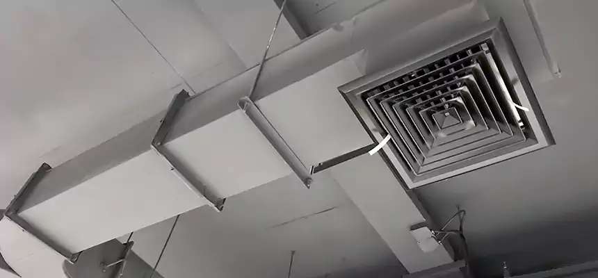 Restorative Allergy Relief Vent Cleaning – Coil, Blower & Housing Detail in Waltham