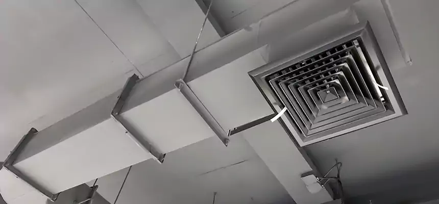 Our Pest Removal From Ducts Services in Waltham, MA