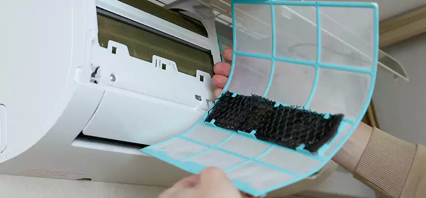 Gentle Ductwork Odor-Control Pet Dander Duct Cleaning in Waltham, MA