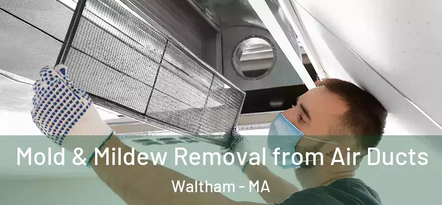  Mold & Mildew Removal from Air Ducts Waltham - MA