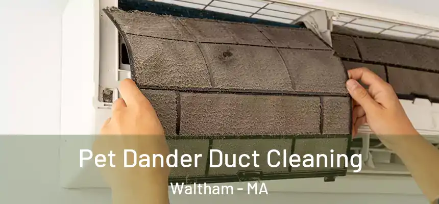 Pet Dander Duct Cleaning Waltham - MA