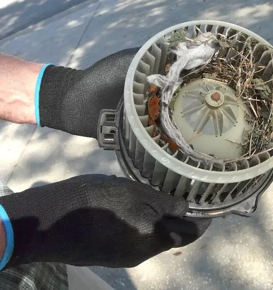 About Air Duct Rat Removal in Waltham, MA