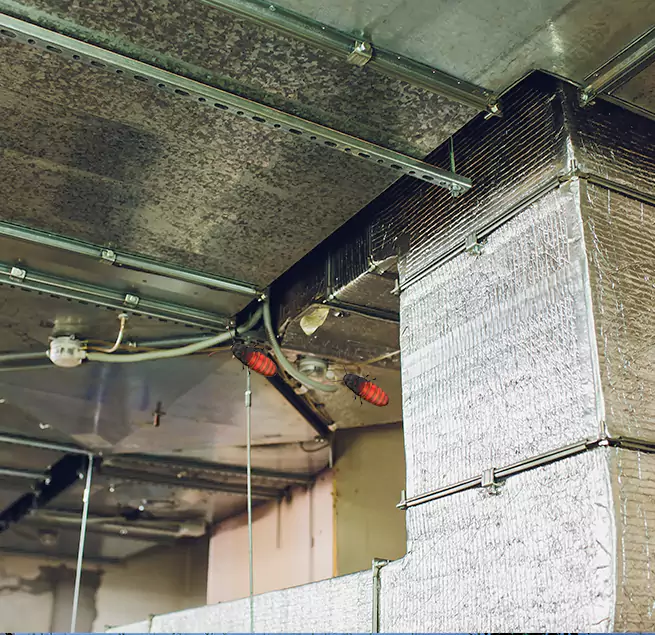 Why Homeowners & Businesses Trust Us in Waltham, MA?