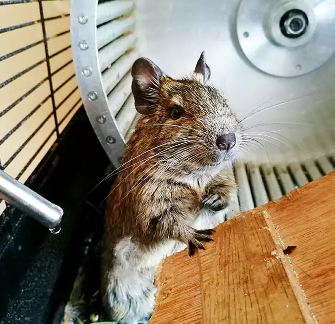 Why Homeowners & Businesses Trust Us Waltham, MA