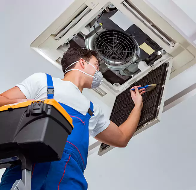 Why Homeowners & Businesses Trust Us in Waltham, MA