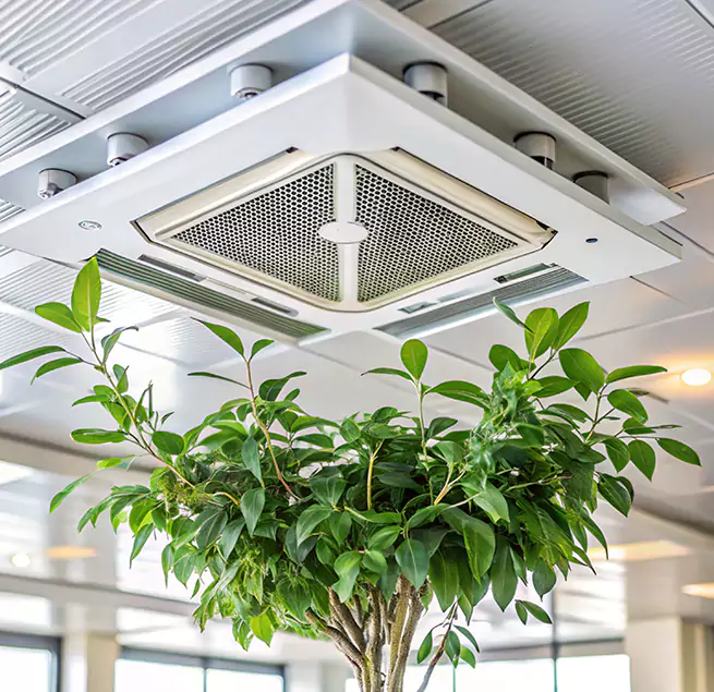 Why Homeowners & Businesses Trust Us in Waltham, MA