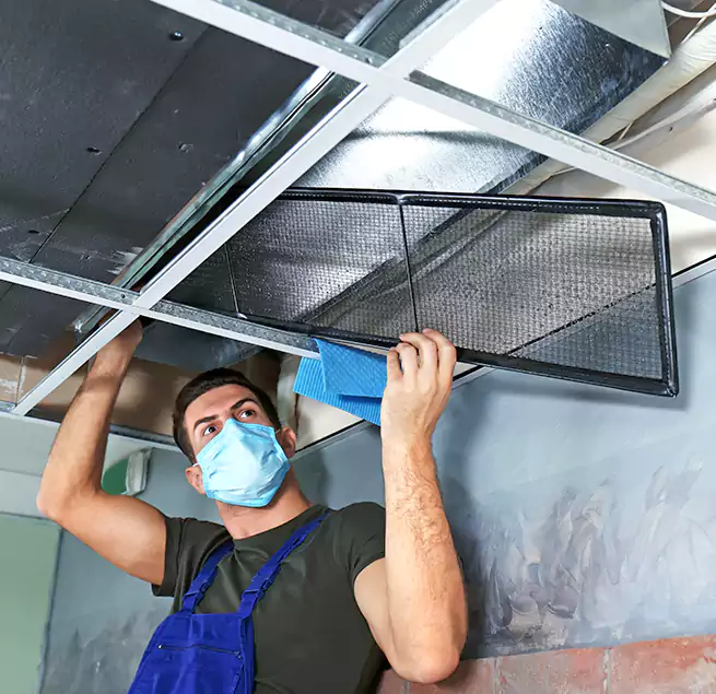 Why Homeowners Businesses Trust Us in Waltham, MA